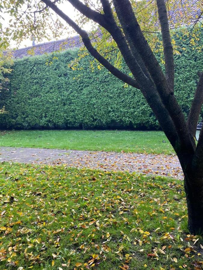 Apartaments Rîşnov Eksteriør bilde